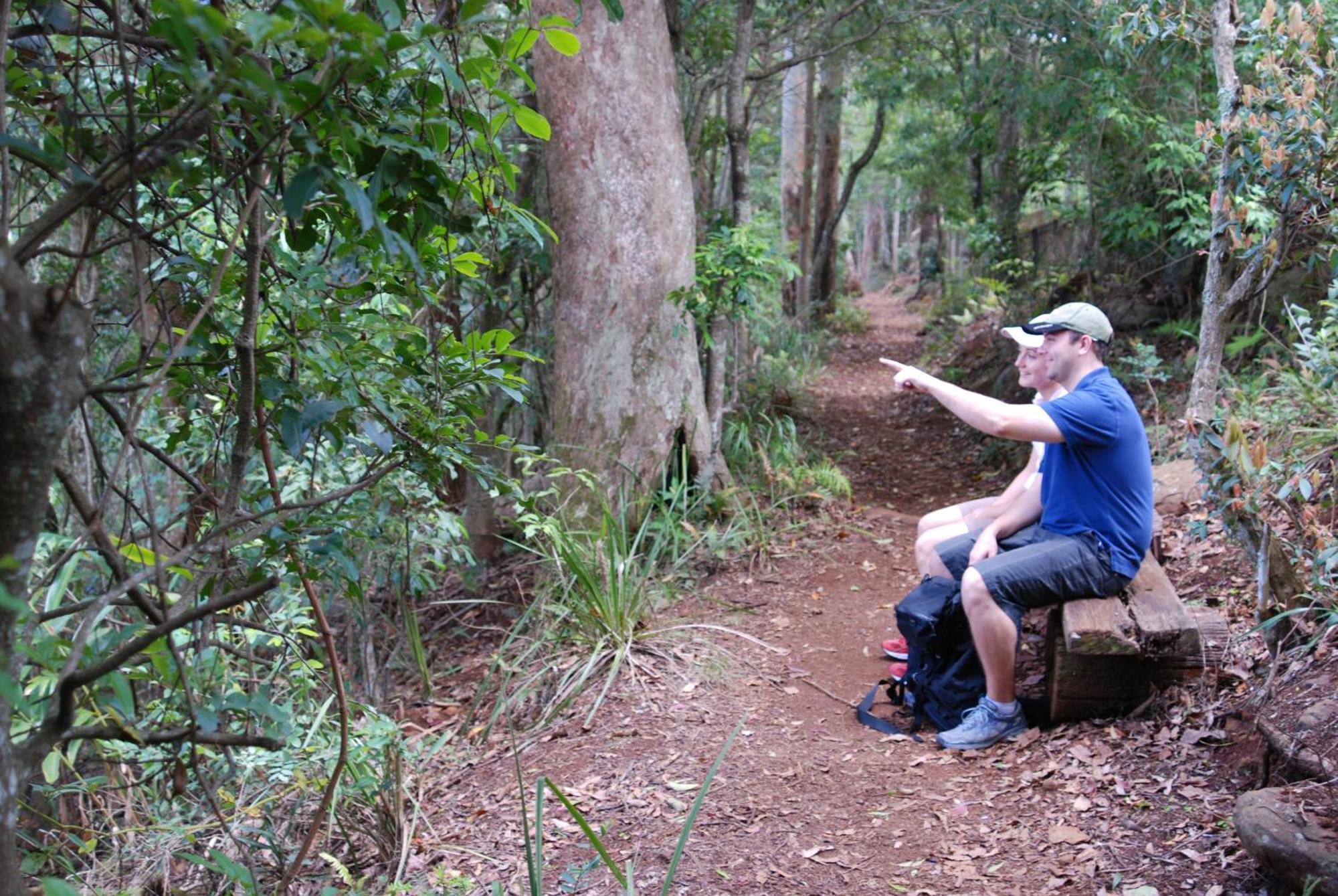 Witches Falls Cottages Mount Tamborine Extérieur photo