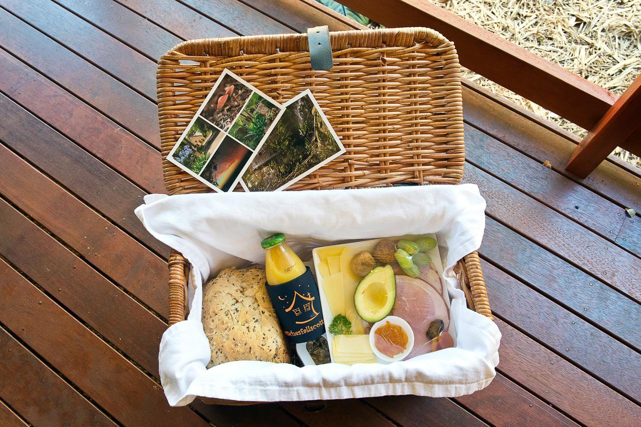 Witches Falls Cottages Mount Tamborine Extérieur photo